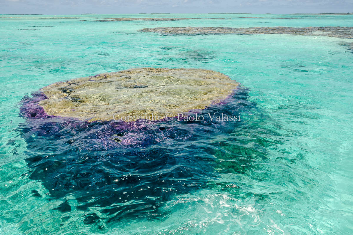 Cook Islands - Aitutaki lagoon