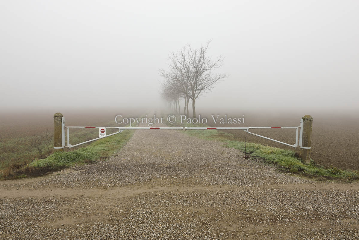 Fog in the Po Valley - Italy