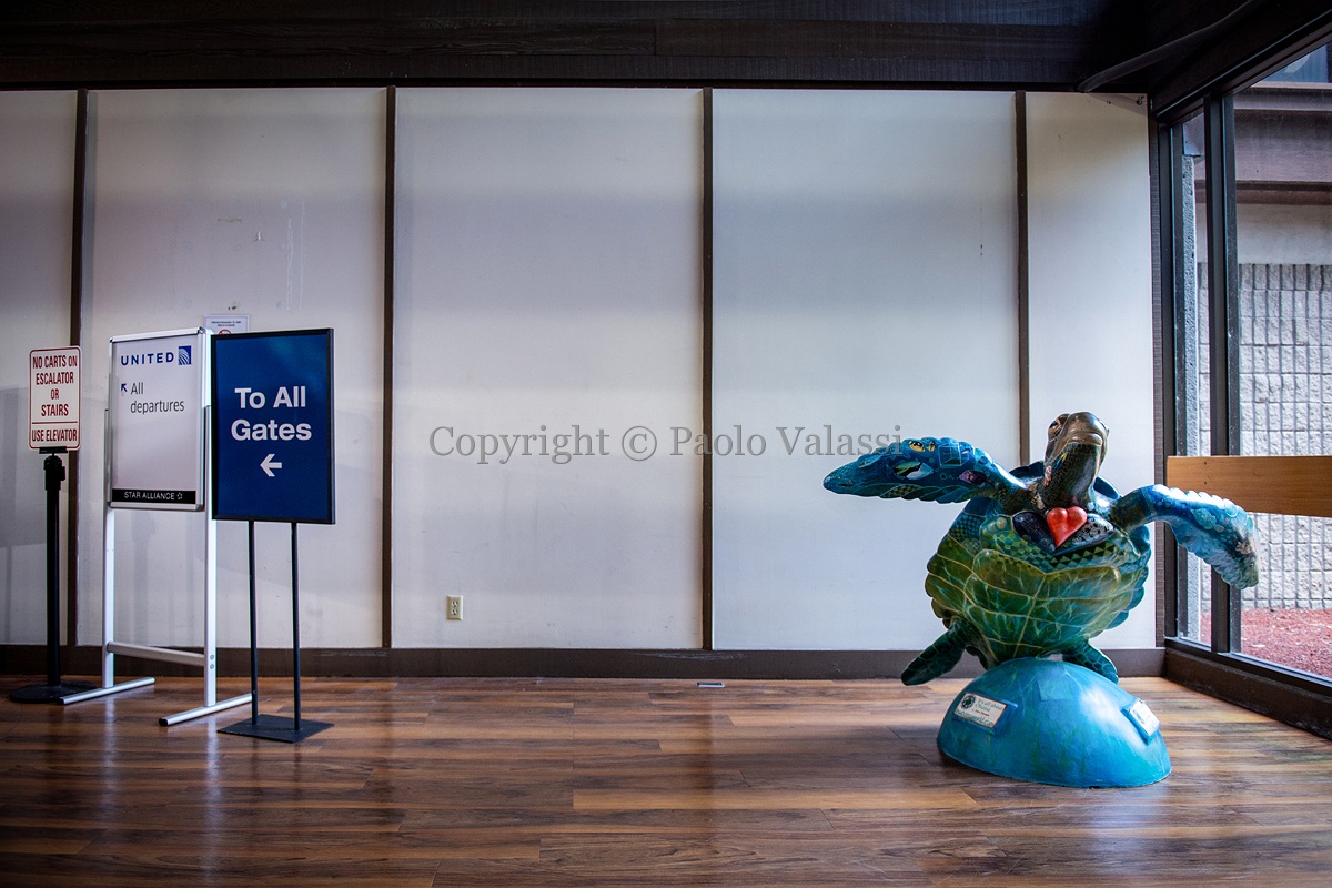 Daniel K. Inouye International Airport of Honolulu - Hawaii