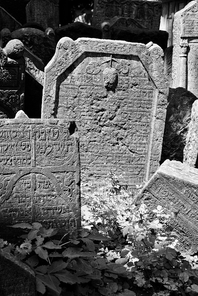 Prague - Josevof - Jewish Quarter - The Old Jewish Cemetery