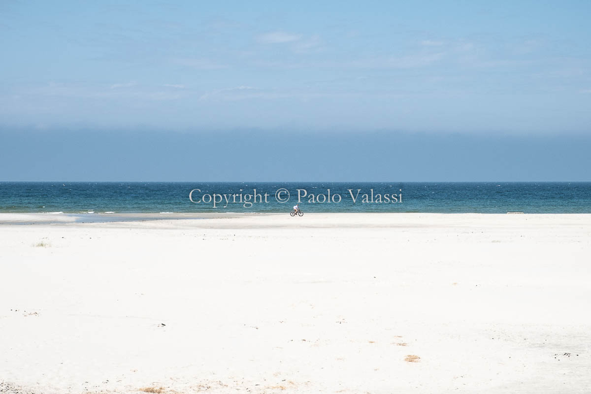 Absence - Frisian Islands - Terschelling