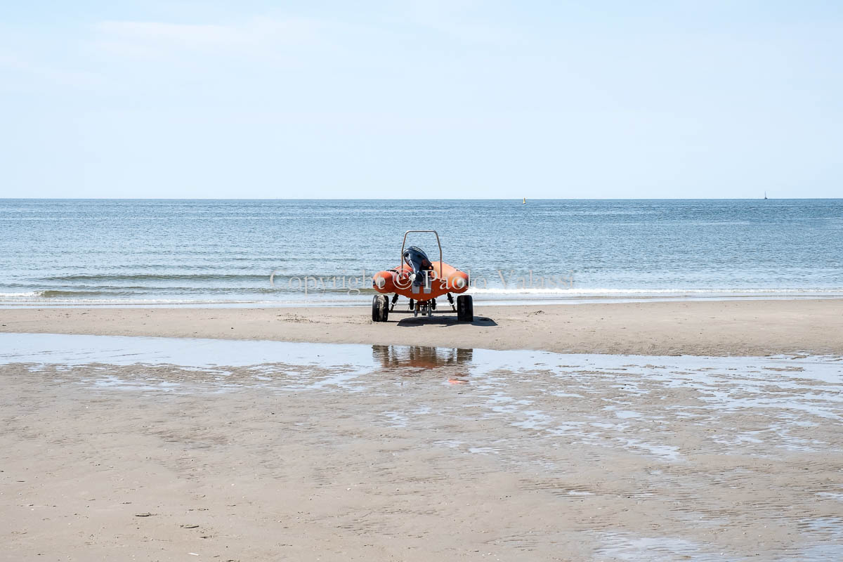 Absence - Frisian Islands - Texel