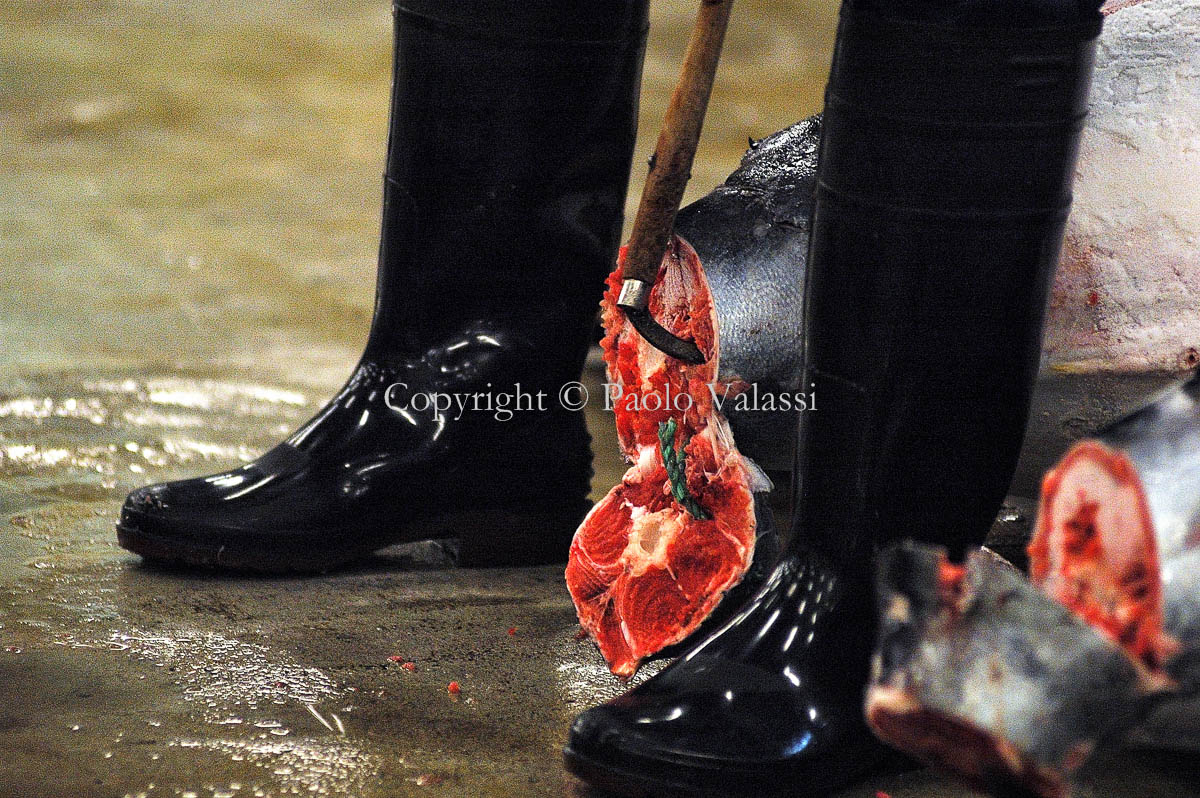 Tsukiji - Tokyo fish market - Tuna auction