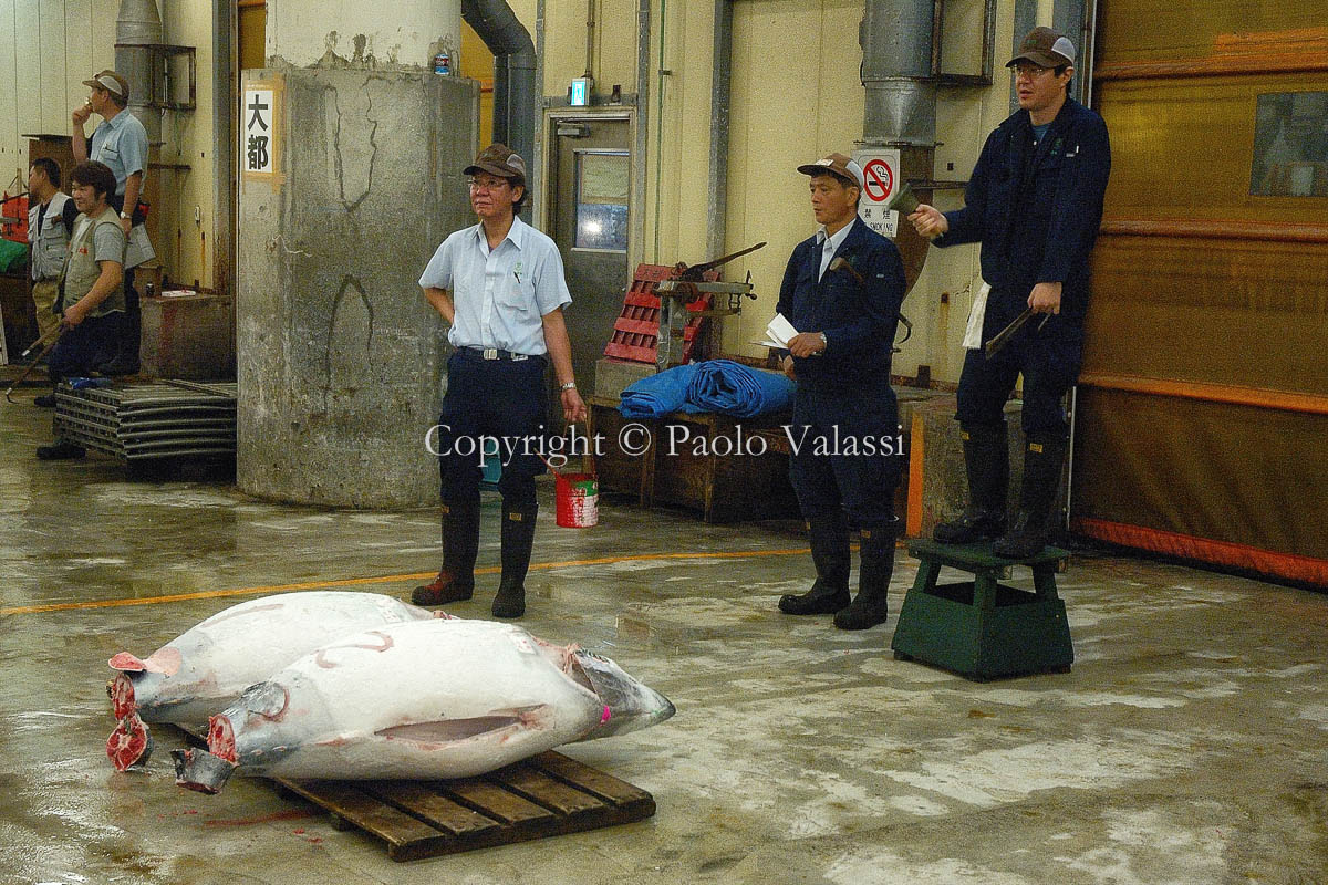 Tsukiji - Tokyo fish market - Tuna auction