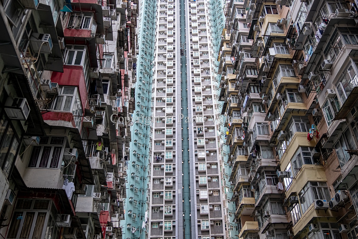 Hives - Hong Kong