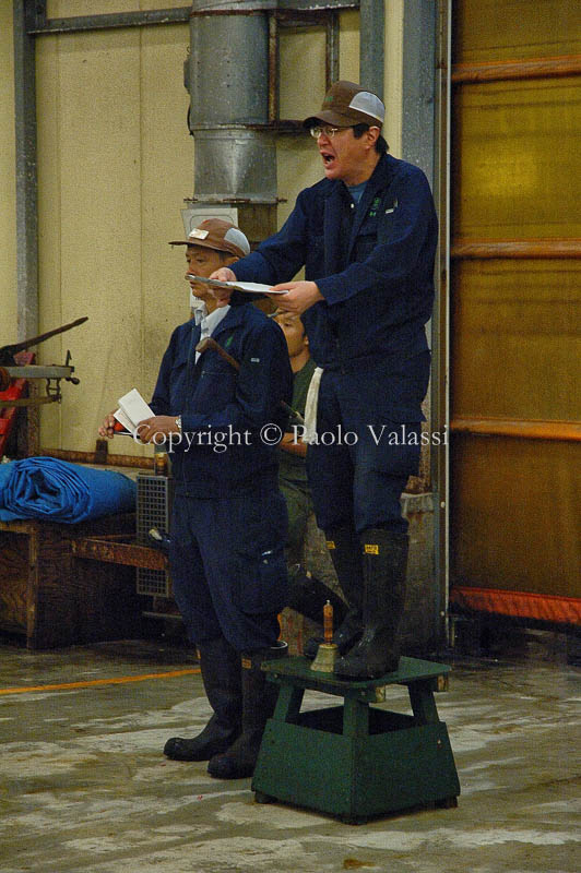 Tsukiji - Tokyo fish market - Tuna auction