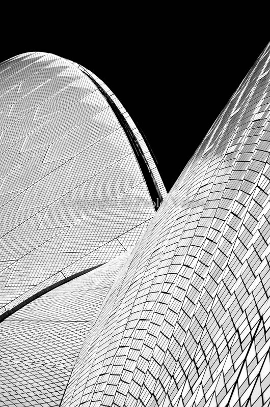 Sydney Opera House in bianco e nero Australia
