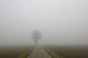 Paesaggi con nebbia in Val Padana