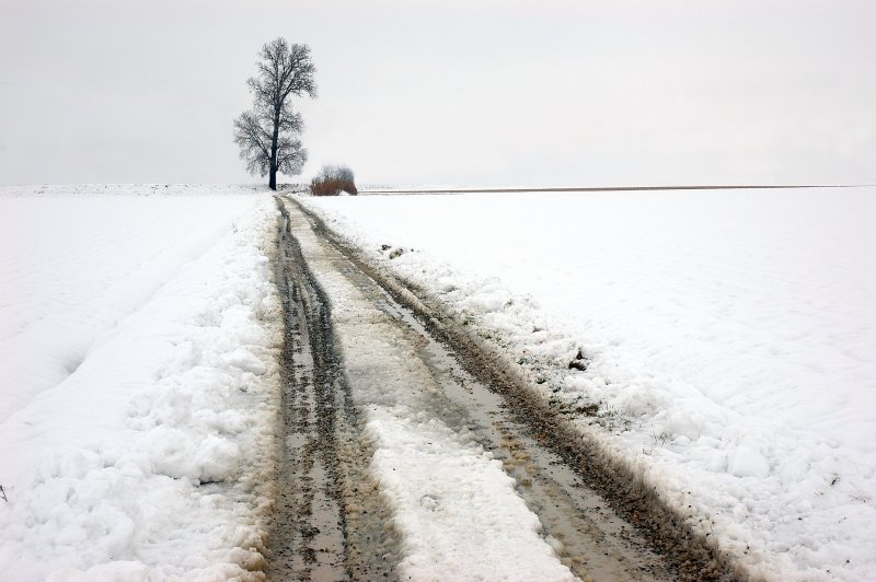 Snowy road - landscape